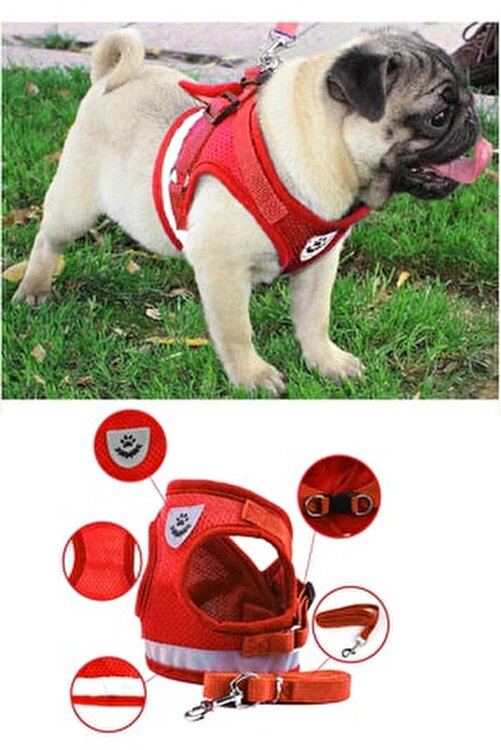 Silaypet Kopek Gogus Gezdirme Tasmasi S Beden Fiyati Yorumlari Trendyol