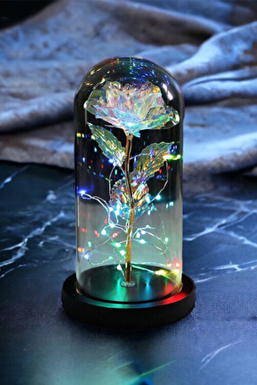 Fanus Içerisinde Dekoratif Rgb Peri Led Işıklı Solmayan Sonsuzluk Gülü Galaxy Lamba Anneler Günü