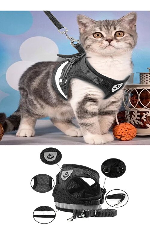 Silaypet Kedi Gogus Gezdirme Tasmasi S Beden Fiyati Yorumlari Trendyol