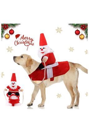Tenu noel discount