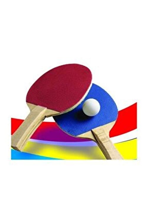 Bimbambom Masa Tenisi Raket Seti Fileli Pratik Masa Tenisi Seti Fiyati Yorumlari Trendyol