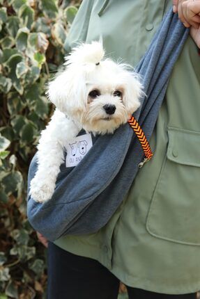 Pet sling deals