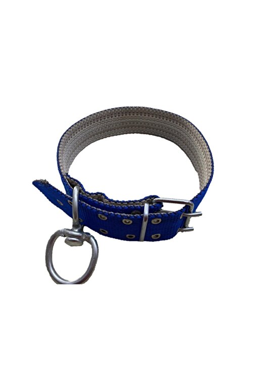 Guzelce Yapi Buyuk Cins Kopek Tasmasi 80 Cm Fiyati Yorumlari Trendyol