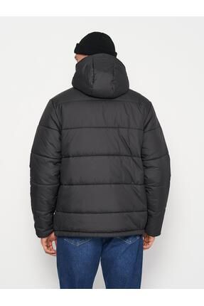 Vans puffer shop