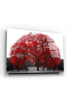 Hediyelik,dekoratif- Kırmızı Ağaç Cam Tablo