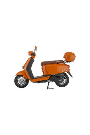 Virago 50 2025