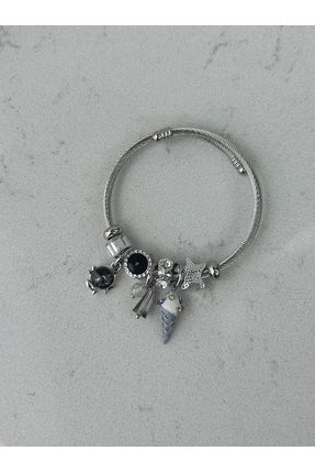 Stainless steel shop pandora bracelet