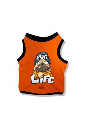 Buddy Store Kedi K pek K yafeti Atlet Pug Life Bask l Turuncu