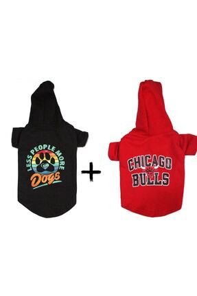 Petite hoodie sweatshirt hot sale
