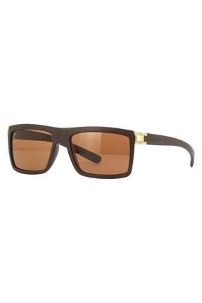 Serengeti brera sunglasses clearance