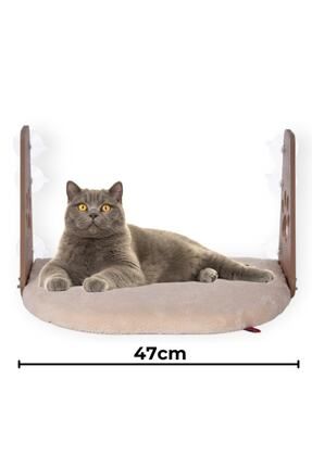 Cam Yatağı Vantuzlu Kedi Cam Yatağı Vantuzlu Yatak Krem