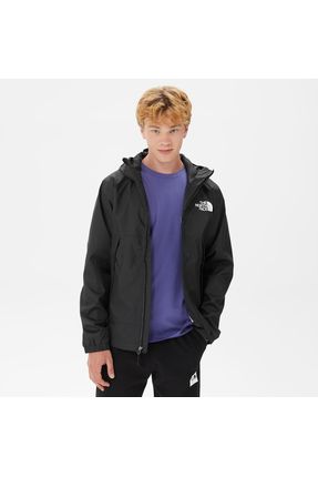 The North Face Mountain Q Erkek Siyah Ceket Fiyat Yorumlar