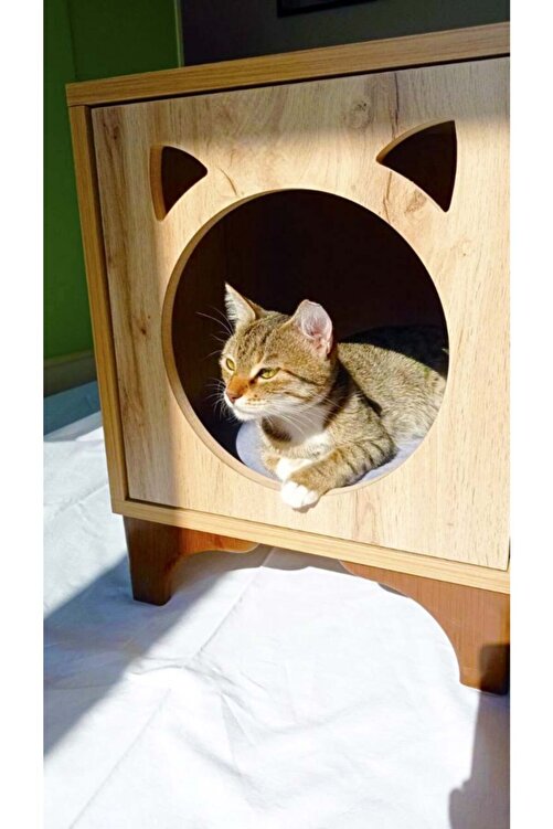 Tahta Karinca Modern Yatakli Ahsap Kedi Evi Kedi Yuvasi Cat House Fiyati Yorumlari Trendyol