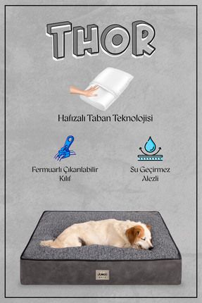 Thor, Memory Foam Süngerli, %100 Su Geçirmez Alezli, Ultra Yumuşak Kedi ve Köpek Yatağı