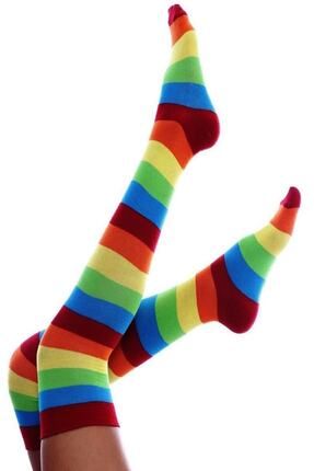 Bright Rainbow Stripes Knee High Toe Socks