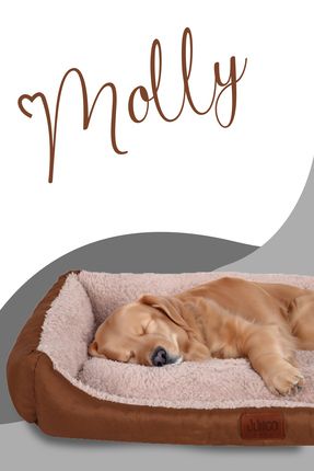 Molly, Çıkartılabilir Minder Özellikli, Ultra Yumuşak, Konforlu, Kedi ve Köpek Yatağı