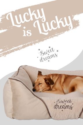 Lucky, Yüksek Kaliteli Konforlu Ultra Yumuşak Kedi Ve Köpek Yatağı