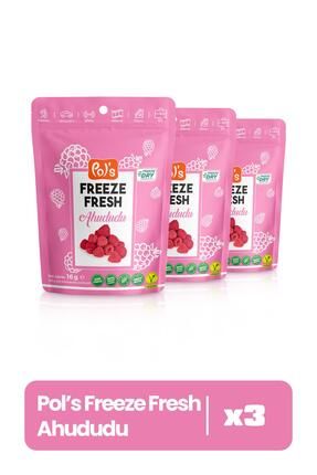 Freeze Fresh Ahududu 16 G X 3 Adet Freeze Dry Dondurularak Kurutulmuş Meyve