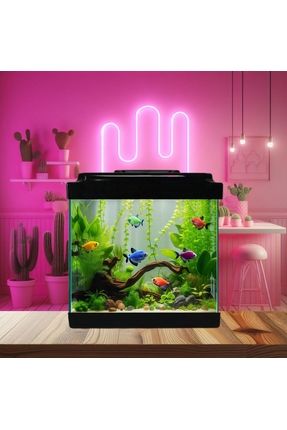 Balık Yemi ve Küçük Akvaryum Mini Akvaryum 20 cm 5 lt Karışık Renklerde Gönderilmektedir.