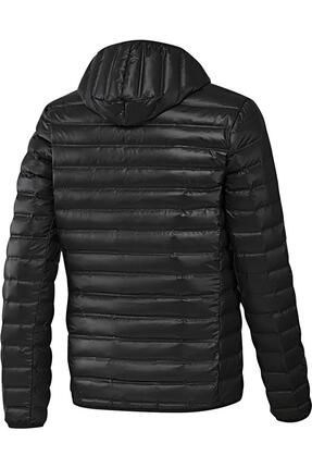 Bq1982 adidas sale