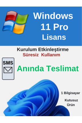 Windows 11 Pro Lisans