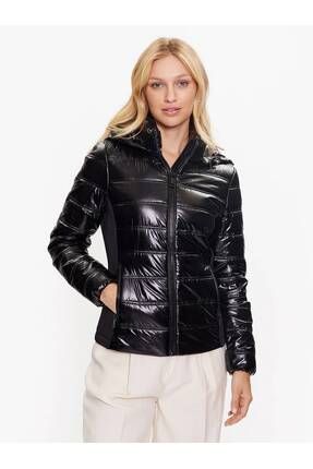 Champion shiny coat sales