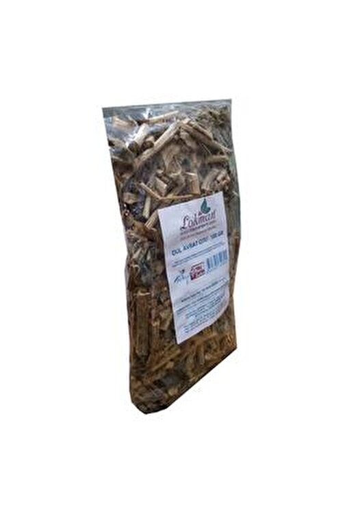 dulavratotu bitki tohumları