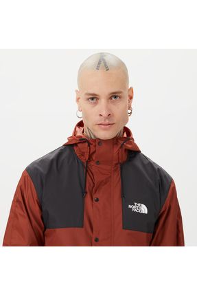 Mountain q north face 2025