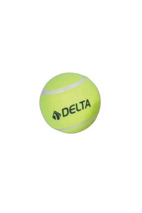Başlangıç Seviye Antrenman veya Kedi Köpekler İçin 1 Adet Basit Tenis Topu