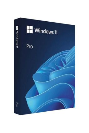 Windows 11 Pro Lisans