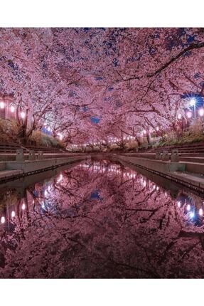 Japonya Kiraz Çiçekleri Parkı | Elmas Mozaik Tablo | Mozaik Puzzle | 45x55 | E20203310