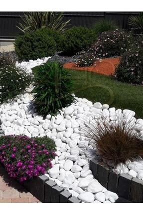Beyaz Dolomit Taş 100 Kg 6-10 Cm Dere Çakıl Taşı Bahçe Peyzaj Süs Taşı Saksı Teraryum Akvaryum T