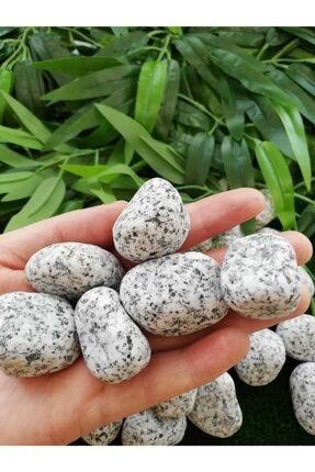 Granit Dolomit Taş 15 Kg 2,5-4 cm Siyah Beyaz Taş Dekoratif Taş Bahçe Taşı Dekor Taşı