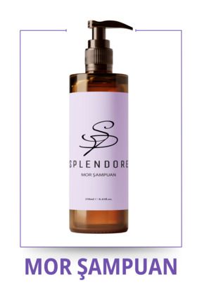 Silver Çok Açık Sarı Gri Ve Beyaz Saçlar Için Renk Dengeleyici Mor Şampuan 250 ml