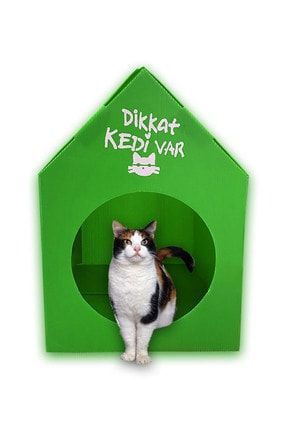 pati mama plastik desenli kedi evi kedi kulubesi kedi yuvasi yesil dikkat kedi var fiyati yorumlari trendyol