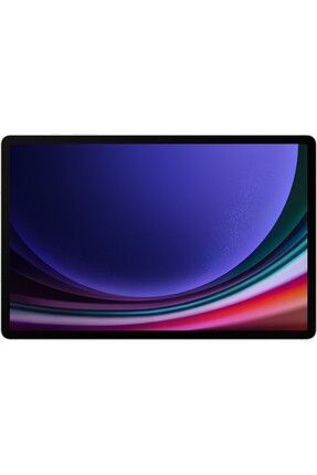 Galaxy Tab S9 Plus Wi-fi Sm-x810 Gri 256 Gb 12.4" Tablet