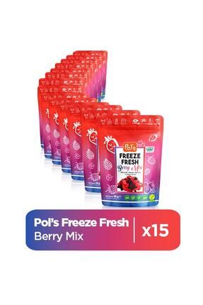 Freeze Fresh Berry Mix 16 g x 15 adet