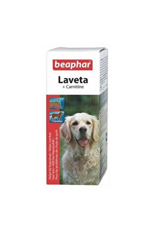 Beaphar Laveta Carnitin Sivi Kopek Multi Vitamin 50 Ml Fiyati Yorumlari Trendyol
