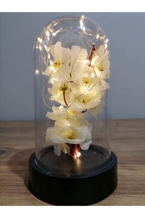 Orkide Çiçek Işıklı Fanus Dekoratif Sevgiliye Anneler Gününe Özel Hediye Canım Annem