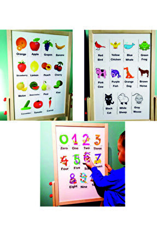 okuling manyetik ingilizce kelime kart flashcard seti sayilar meyveler renkler ve hayvanlar fiyati yorumlari trendyol