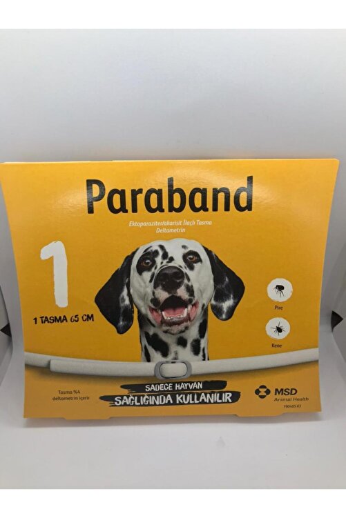 Msd Paraband Pire Kene Tasmasi Fiyati Yorumlari Trendyol