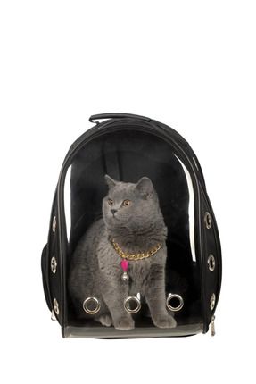 Çanta Şeffaf Astronot Kırılmaz Kedi Köpek Taşıma Çantası 42 X 22 X 33 Cm Siyah