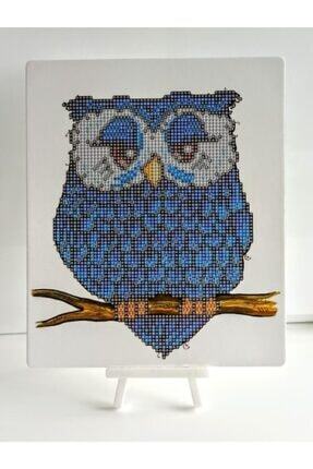 mentas boncuklu tasli mozaik elmas goblen tablo resim pano puzzle diamond painting 21x25 baykus modeli fiyati yorumlari trendyol