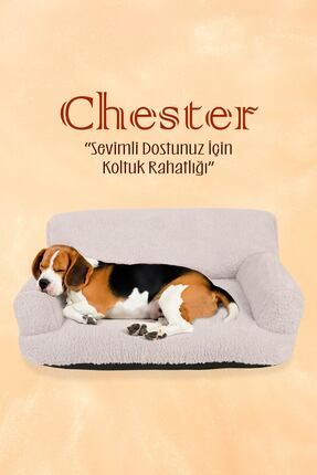 Chester, Ultra Yumuşak, Koltuk Tasarım, Kedi ve Köpek Yatağı (Boyun Yastığı Hediyeli)