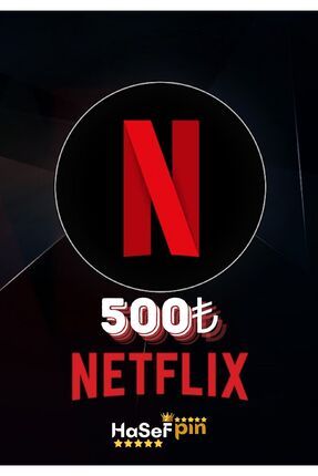 Netflix 500 Tl