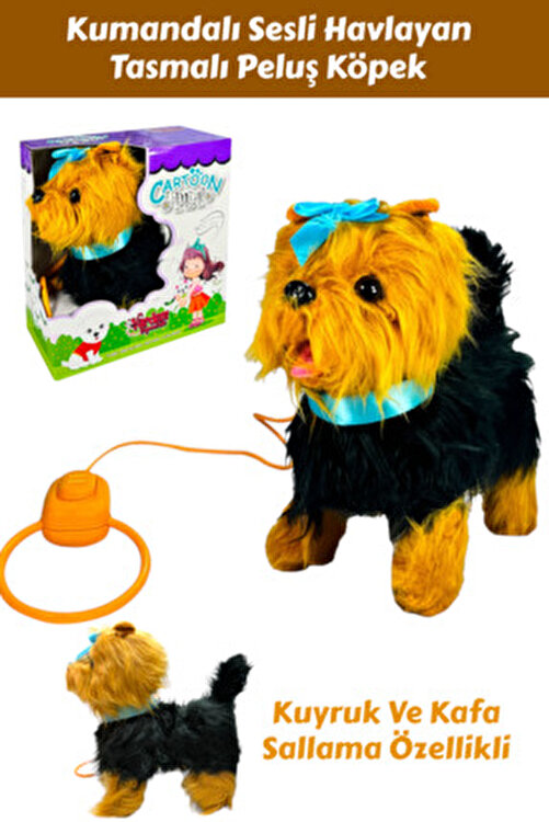 Uning kokragini sorish video