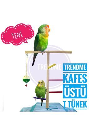 Trendme Kafes Üstü Basamaklı Kuş T Tünek ( Sultan,Cennet,Muhabbet Vb.)