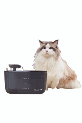 Kiwipets Otomatik Kedi Köpek Su Pınarı Su Çeşmesi Ultra Sessiz Su Şelalesi