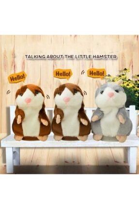 Hamster talking shop
