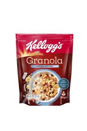 Karışık Meyveli Granola 250 Gr,%45 Yulaf Içerir,lif Kaynağı,%20 Kurutulmuş Meyve